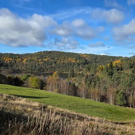 Cozy Forest In Evje Tranquility And Nature Apasdal